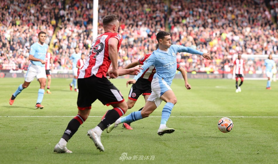 一定比例的 一定比例的